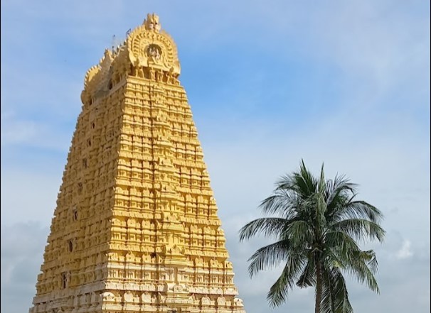 Tirukkoyilur  City